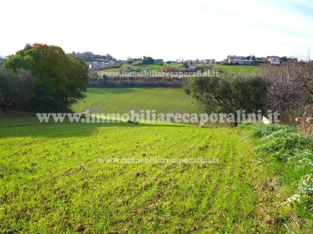 Terreno in vendita a Marche, Macerata