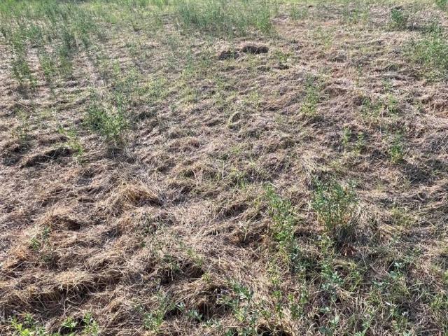 Terreno in vendita a Marche, Pesaro E Urbino