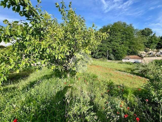 Terreno in vendita a Montefiascone, Lazio