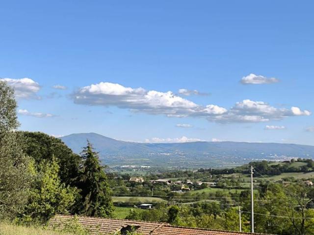 Terreno in vendita a Montefiascone, Lazio