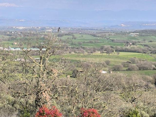 Terreno in vendita a Montefiascone, Lazio