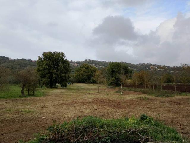 Terreno in vendita a Le Mosse, Montefiascone