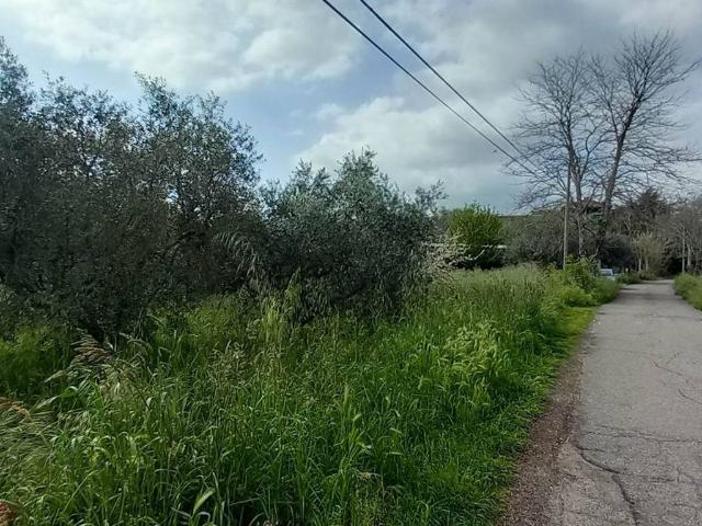 Terreno in vendita a Montefiascone, Lazio