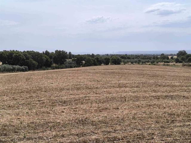 Terreno in vendita a Montefiascone, Lazio
