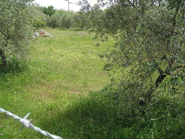 Terreno in vendita a Montefiascone, Lazio
