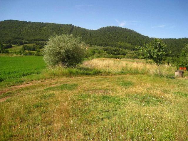 Terreno in vendita a Montefiascone, Lazio