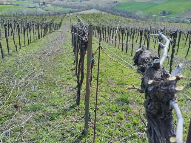 Terreno in vendita a Marche, Ascoli Piceno