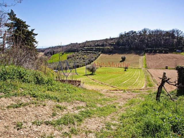 Terreno in vendita a Marche, Ascoli Piceno