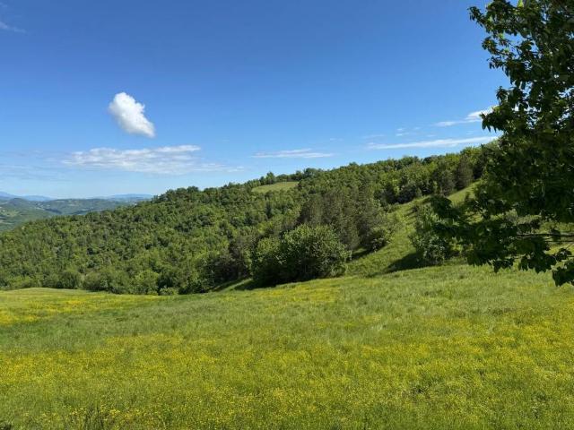 Terreno in vendita a Marche, Fermo