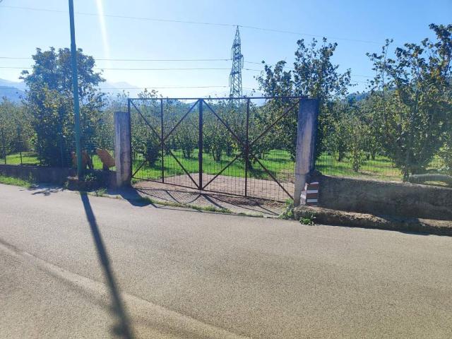 Terreno in vendita a Alimata, Montefredane