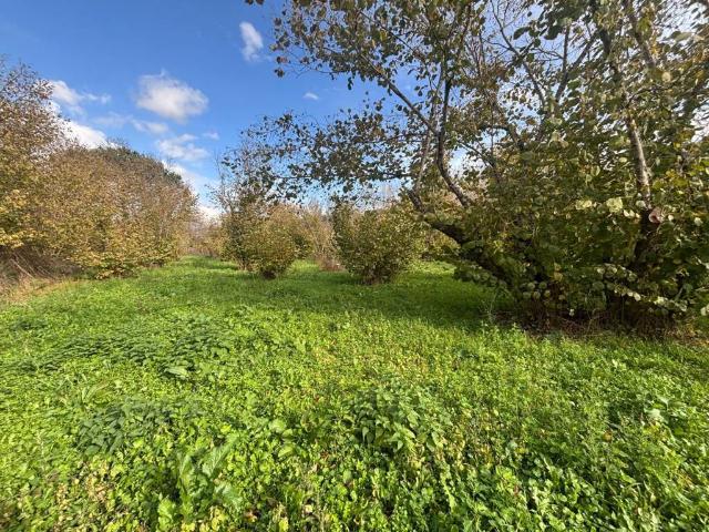 Terreno in vendita a Montefredane, Campania