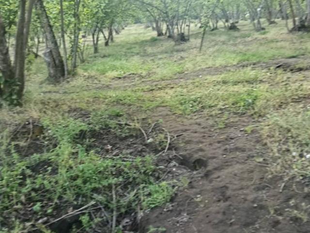 Terreno in vendita a Montefredane, Campania