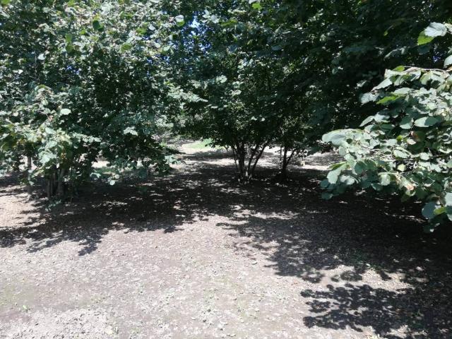 Terreno in vendita a Montefredane, Campania