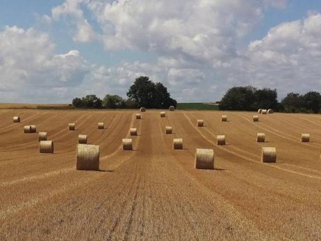 Terreno in vendita a Calabria, Cosenza