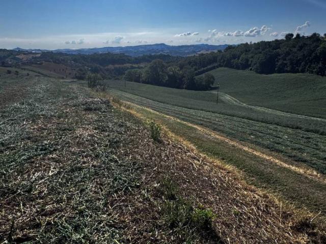 Terreno in vendita a Marche, Fermo