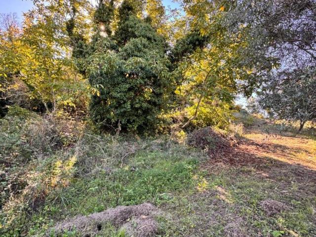 Terreno in vendita a Montone I, Montegiorgio
