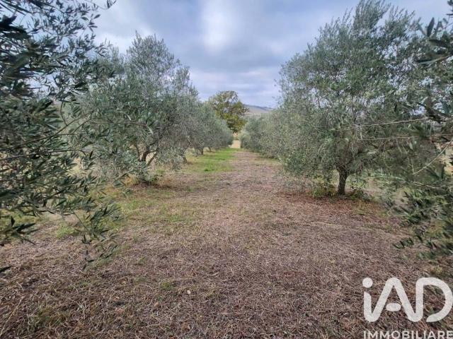 Terreno in vendita a Marche, Fermo