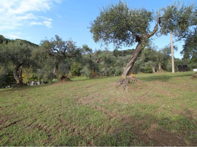 Terreno in vendita a Montegridolfo, Rimini
