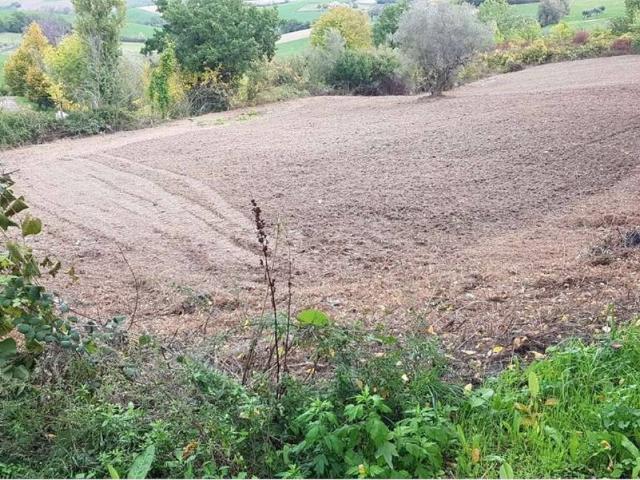Terreno in vendita a Trebbio di Montegridolfo, Montegridolfo