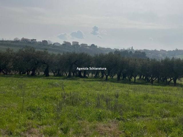 Terreno in vendita a Montegridolfo, Rimini