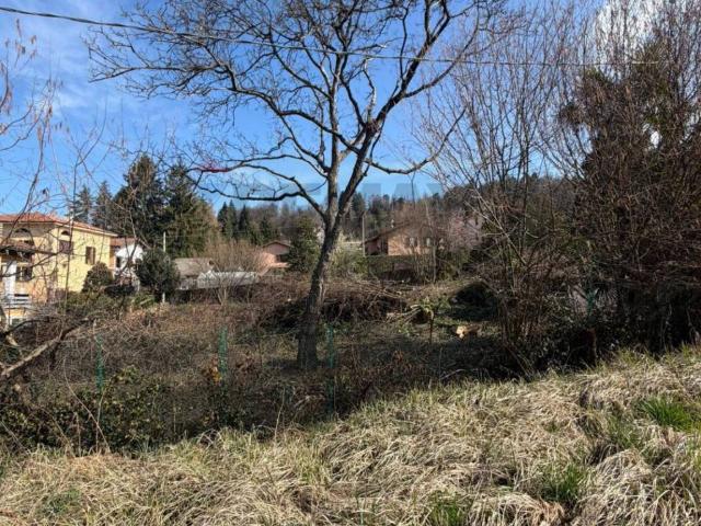 Terreno in vendita a Comunità Montana Valli del Verbano, Montegrino Valtravaglia