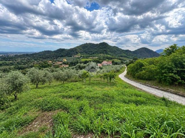 Terreno in vendita a Turri, Montegrotto Terme