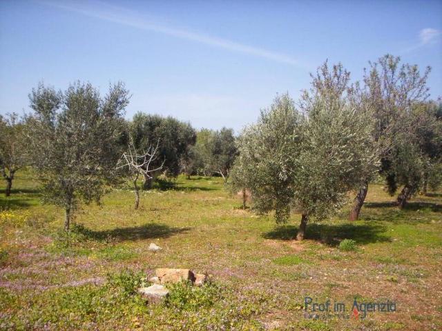 Terreno in vendita a Pozzo Alto, Pesaro