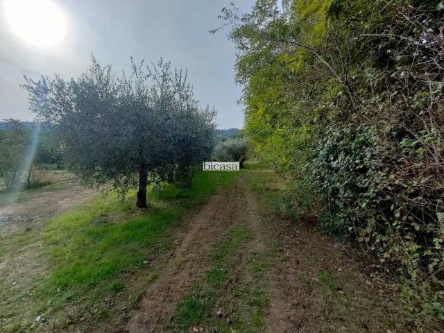 Terreno in vendita a Montelabbate, Pesaro e Urbino