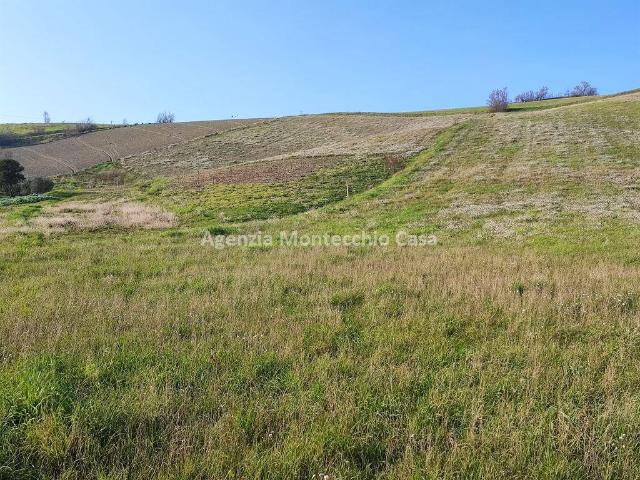 Terreno in vendita a Borgo Marcellino, Montelabbate