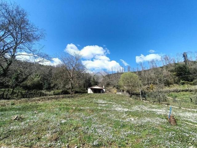 Terreno in vendita a Roma Capitale, Lazio