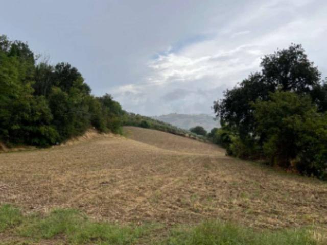 Terreno in vendita a Marche, Fermo