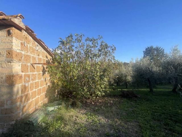 Terreno in vendita a Santa Maria, Monteleone D'orvieto