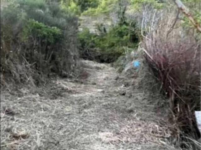 Terreno in vendita a Montelepre, Sicilia