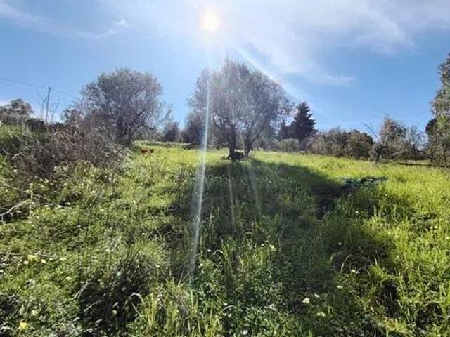 Terreno in vendita a Montelepre, Sicilia