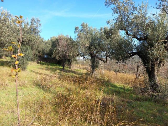 Terreno in vendita a Roma Capitale, Lazio