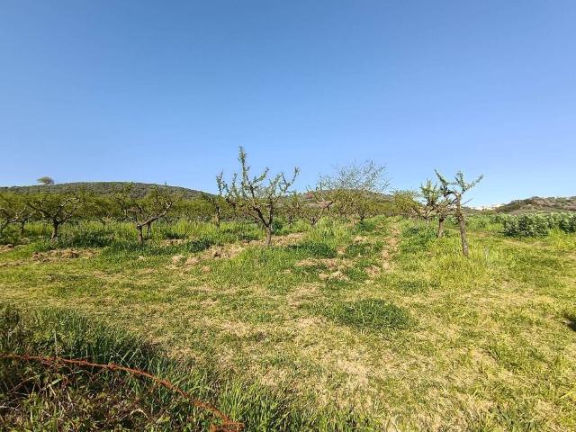 Terreno in vendita a Roma Capitale, Lazio