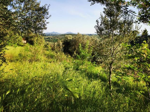 Terreno in vendita a Roma Capitale, Lazio