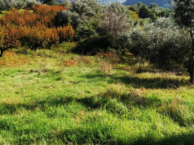 Terreno in vendita a Roma Capitale, Lazio