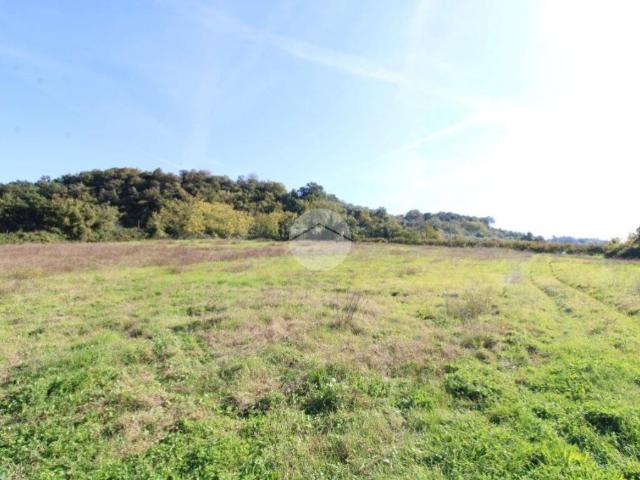 Terreno in vendita a Roma Capitale, Lazio