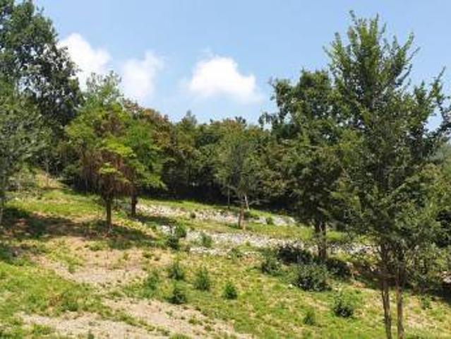 Terreno in vendita a Montello, Lombardia
