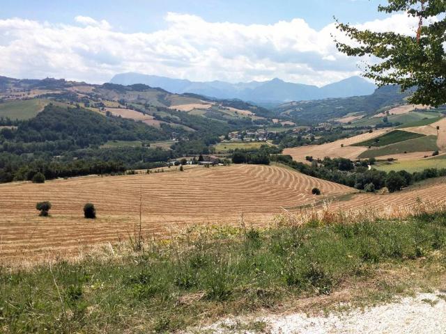 Terreno in vendita a Sala, Marche