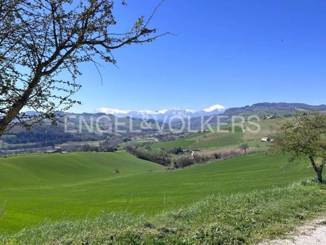 Terreno in vendita a Sala, Marche
