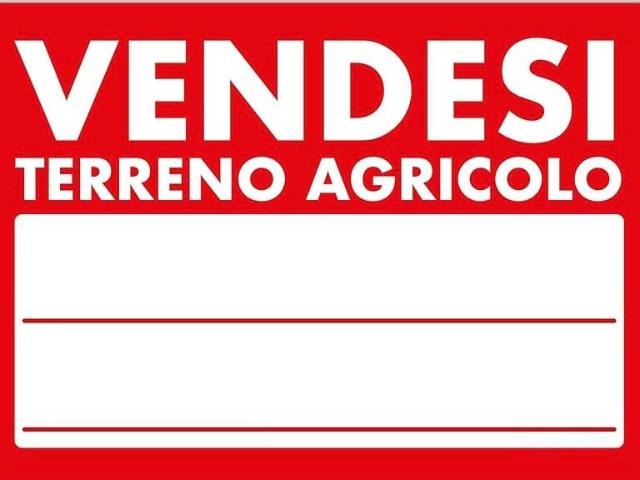 Terreno in vendita a Unione dei Comuni Circondario dell'Empolese Valdelsa, Montelupo Fiorentino