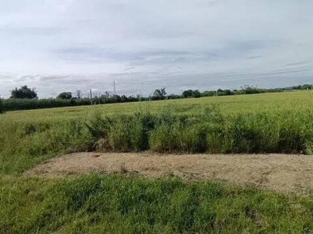 Terreno in vendita a Marche, Ancona