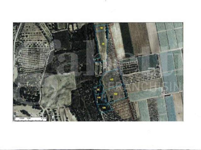 Terreno in vendita a Puglia, Taranto