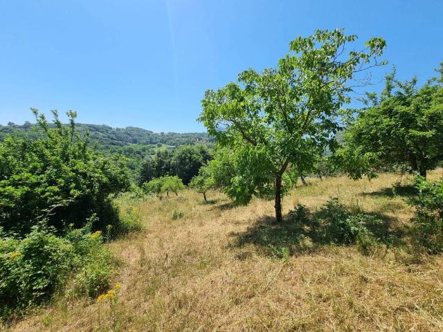 Terreno in vendita a Lapio, Campania
