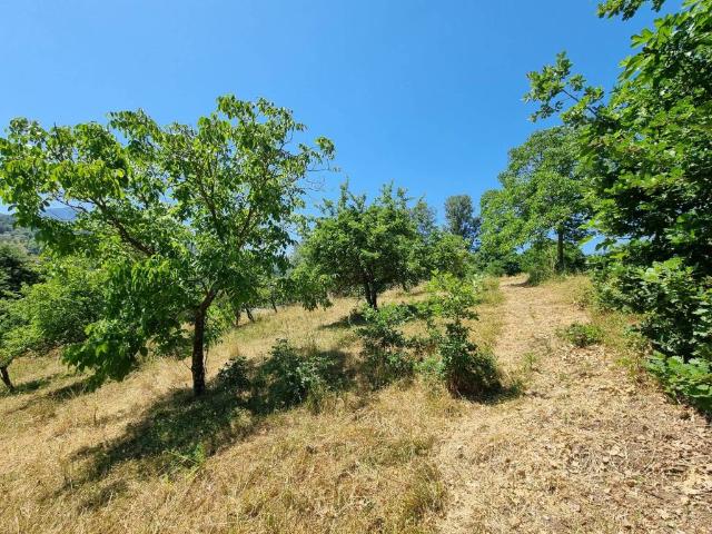 Terreno in vendita a Lapio, Campania