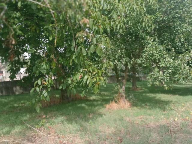 Terreno in vendita a Montaperto, Prata Principato Ultra