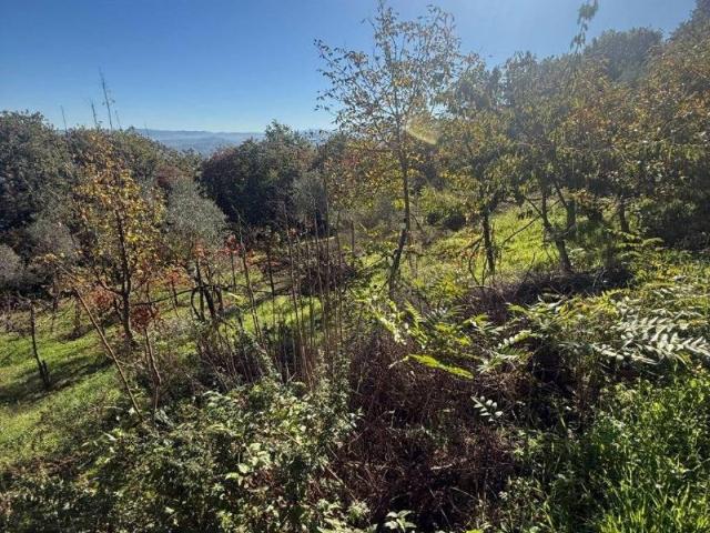 Terreno in vendita a Prata Principato Ultra, Campania
