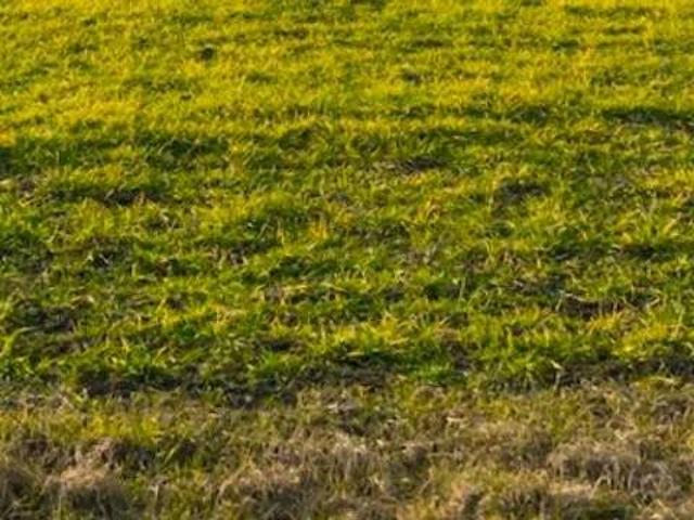 Terreno in vendita a Bagnolo, Montemurlo
